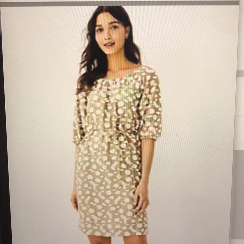 Ann Taylor Floral Clip Shift Dress